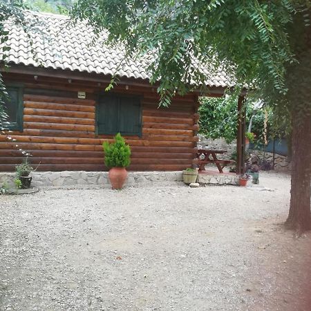 Cabana De Madera La Encina Burunchel Buitenkant foto