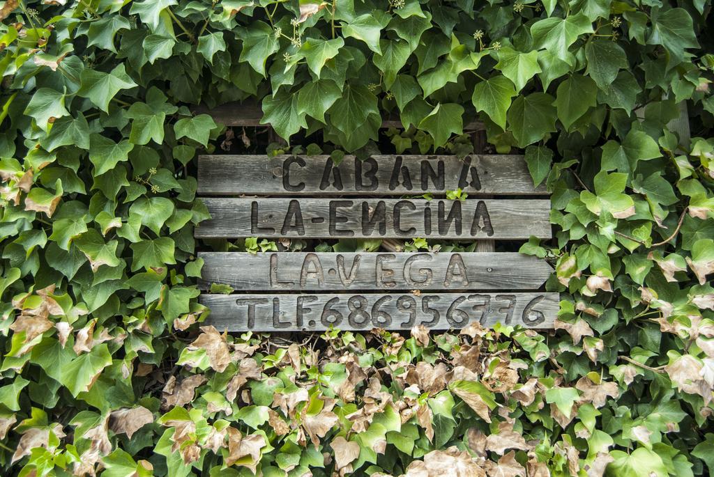 Cabana De Madera La Encina Burunchel Buitenkant foto